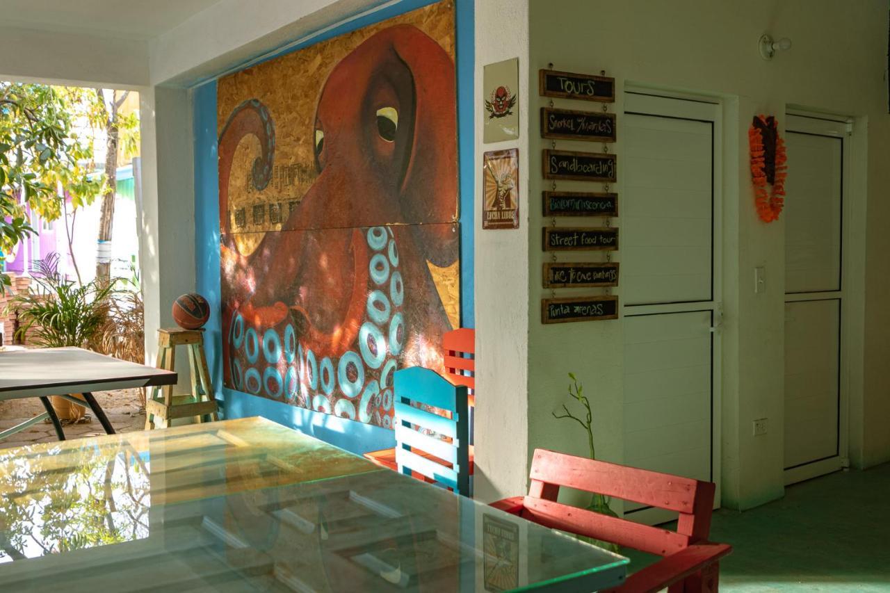 Peace Hostel Mx La Paz Exteriör bild