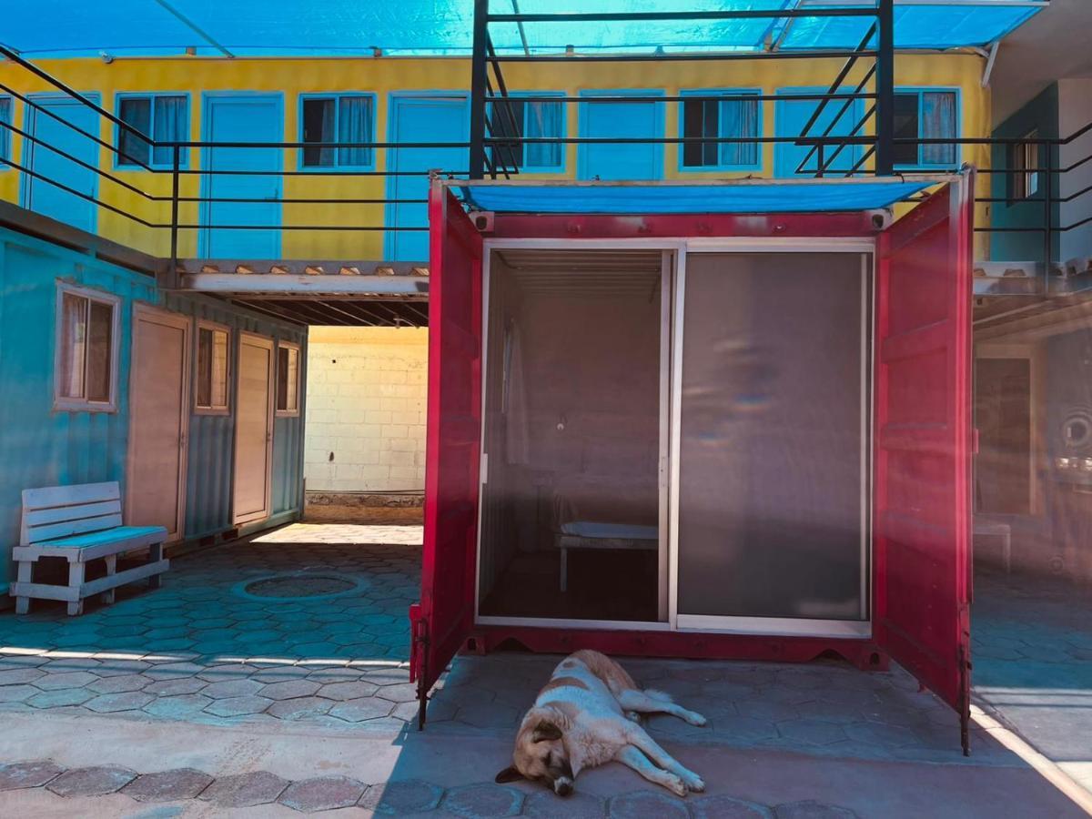 Peace Hostel Mx La Paz Exteriör bild